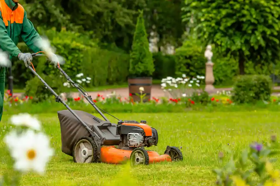 Trusted Landscape Contractor