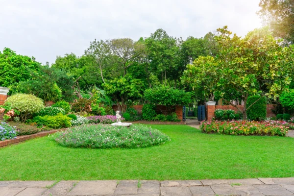 C & E Lawn Services' Other Services