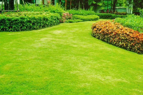 Lawn Care