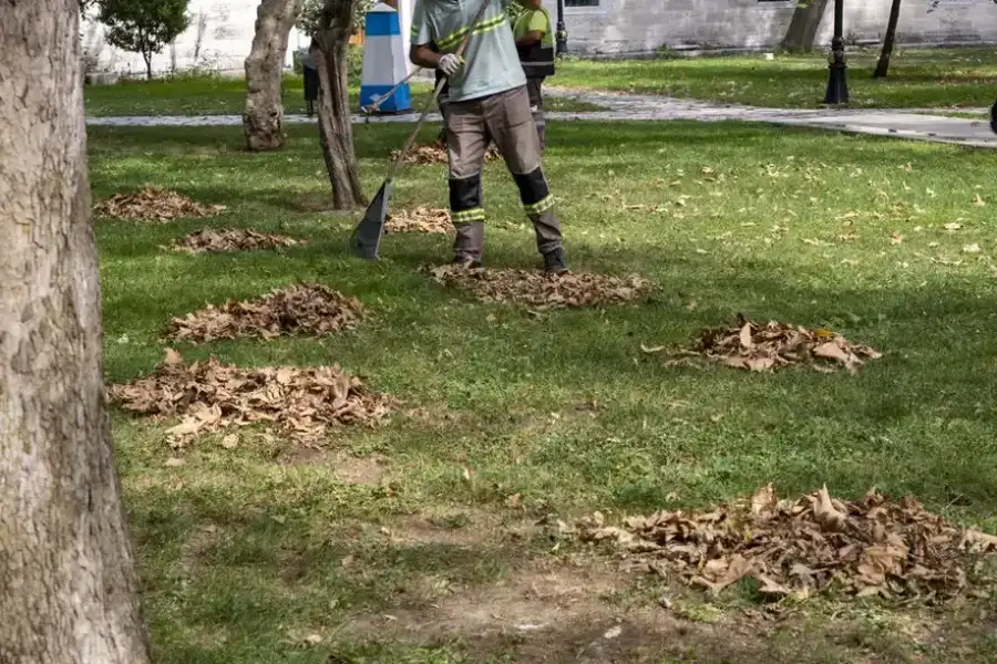 Premium Leaf Removal Atlanta, GA