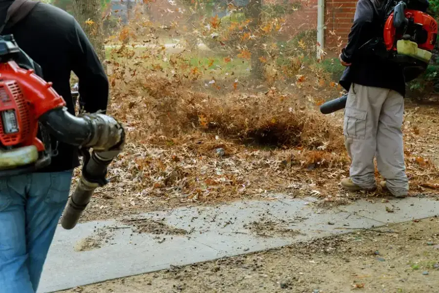 Reliable Leaf Removal Atlanta, GA