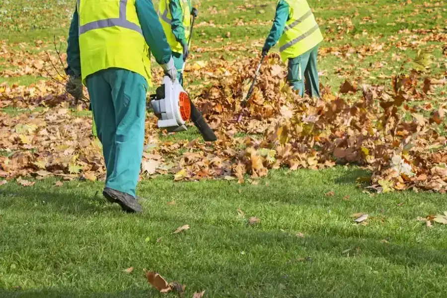 Top-rated Leaf Removal Atlanta, GA